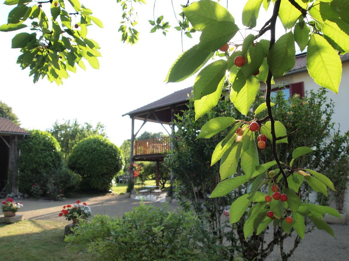 Hotel Les Jardins De Lily Saint-Léonard-de-Noblat Exterior foto